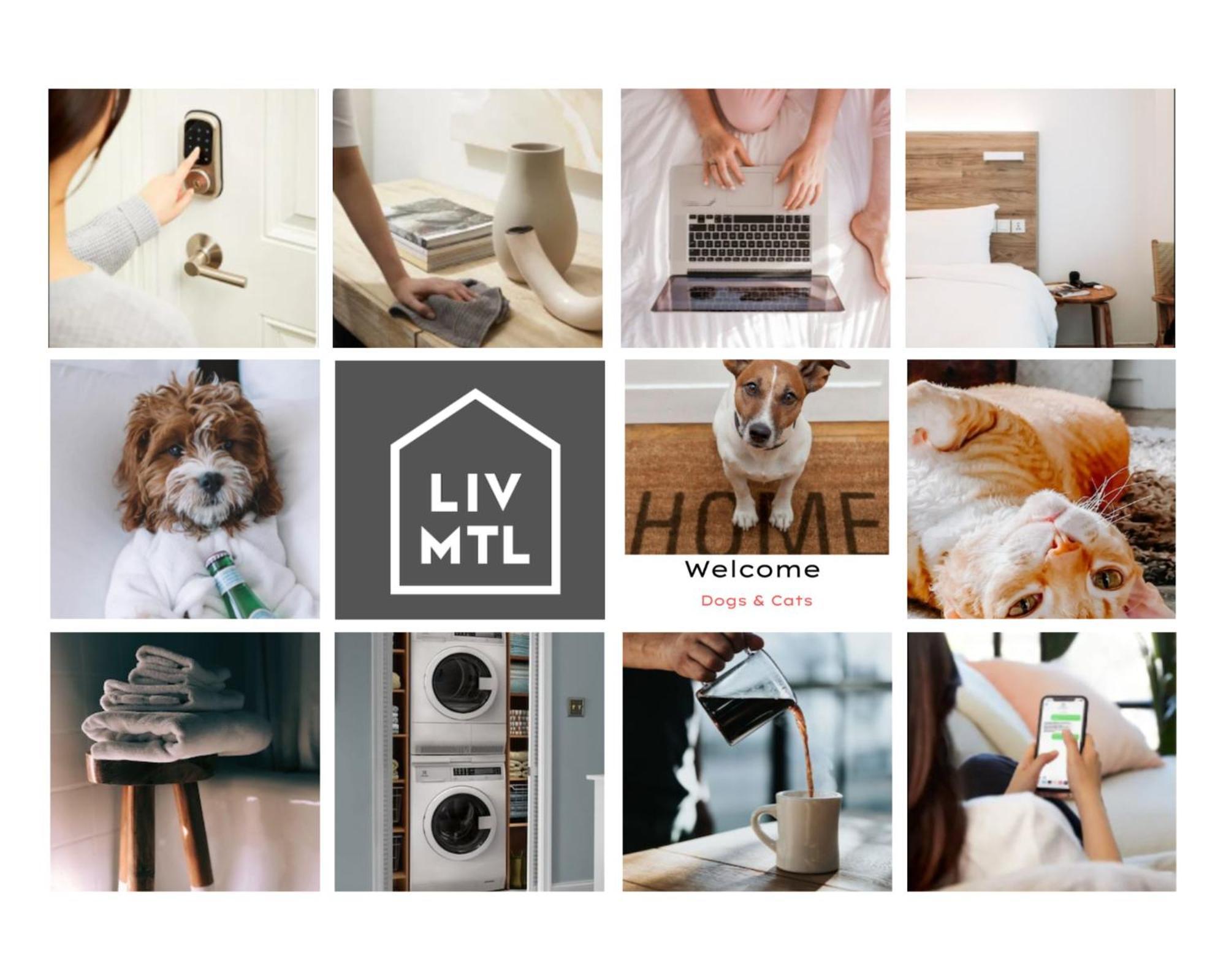 Liv Mtl Avenue Aparthotel Монреал Екстериор снимка
